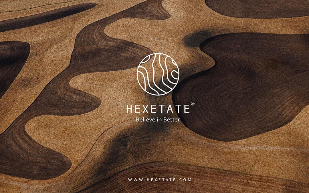 HEXETATE 3.0 // A New Frame Material for Designers
